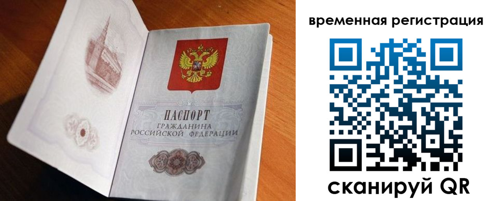 прописка штамп в Жердевке